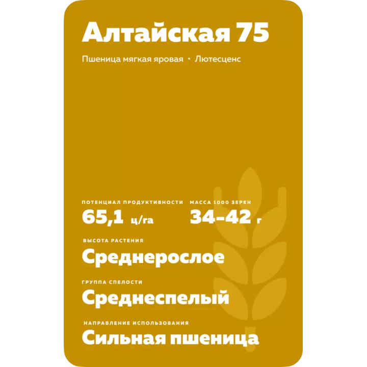 АЛТАЙСКАЯ 75