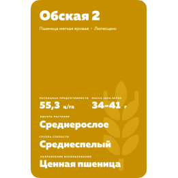 ОБСКАЯ 2