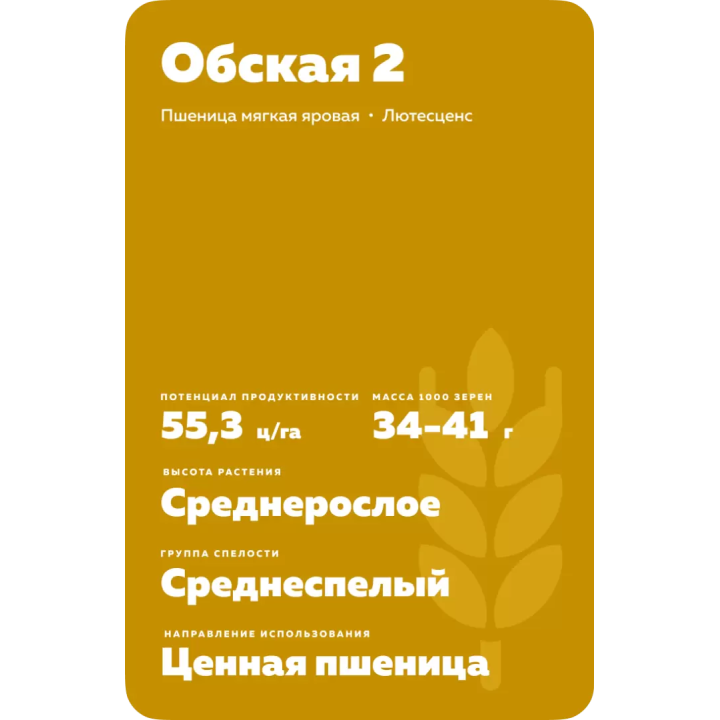 ОБСКАЯ 2