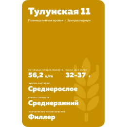ТУЛУНСКАЯ 11