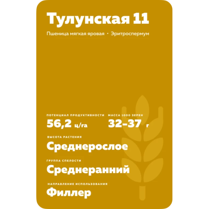 ТУЛУНСКАЯ 11