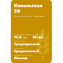 КИНЕЛЬСКАЯ 59