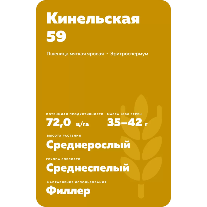 КИНЕЛЬСКАЯ 59