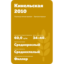 КИНЕЛЬСКАЯ 2010
