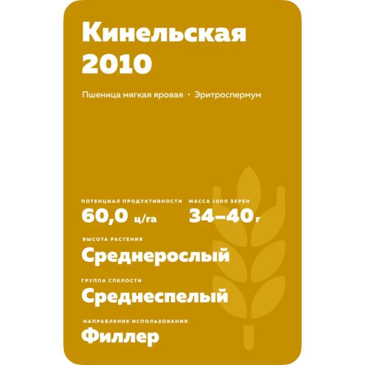 КИНЕЛЬСКАЯ 2010