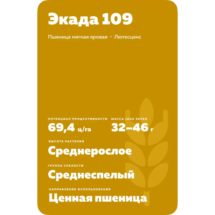 ЭКАДА 109