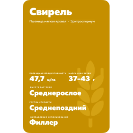 СВИРЕЛЬ