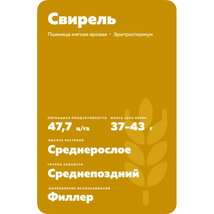СВИРЕЛЬ