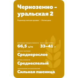 ЧЕРНОЗЕМНОУРАЛЬСКАЯ 2