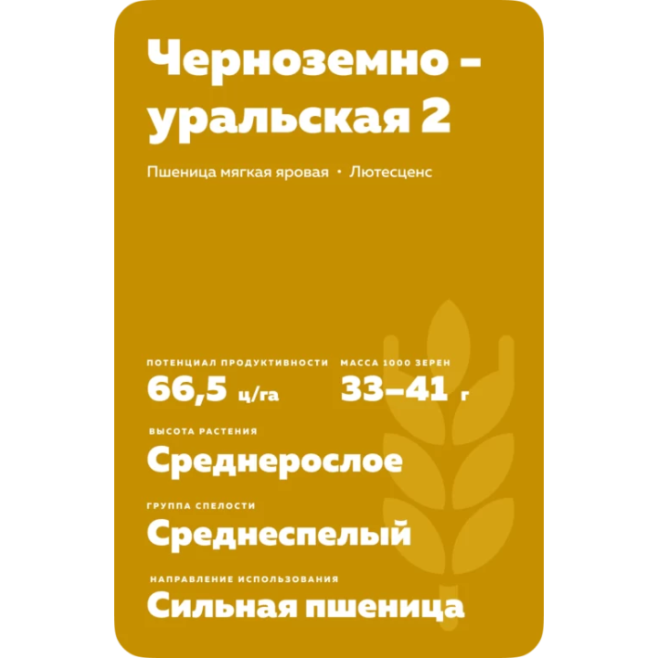 ЧЕРНОЗЕМНОУРАЛЬСКАЯ 2