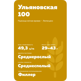 УЛЬЯНОВСКАЯ 100