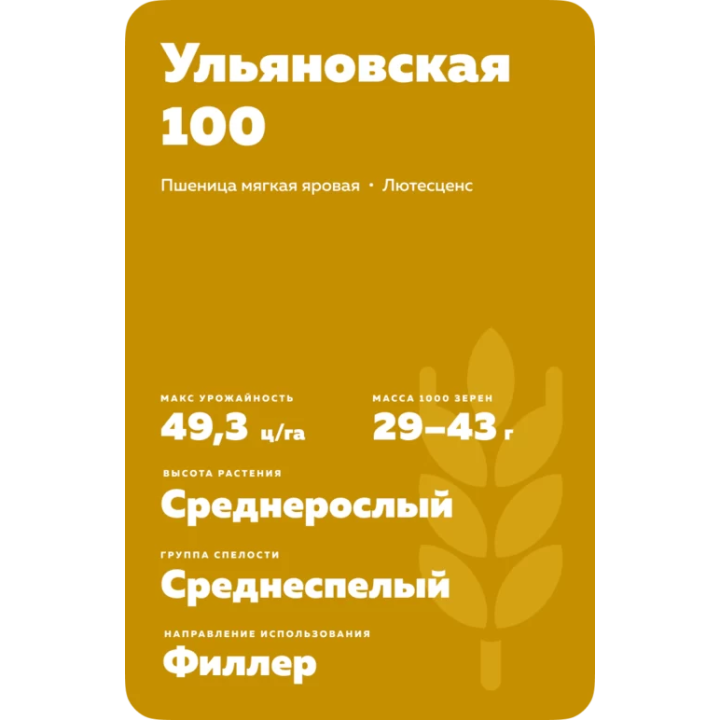 УЛЬЯНОВСКАЯ 100