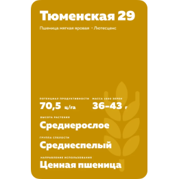 ТЮМЕНСКАЯ 29