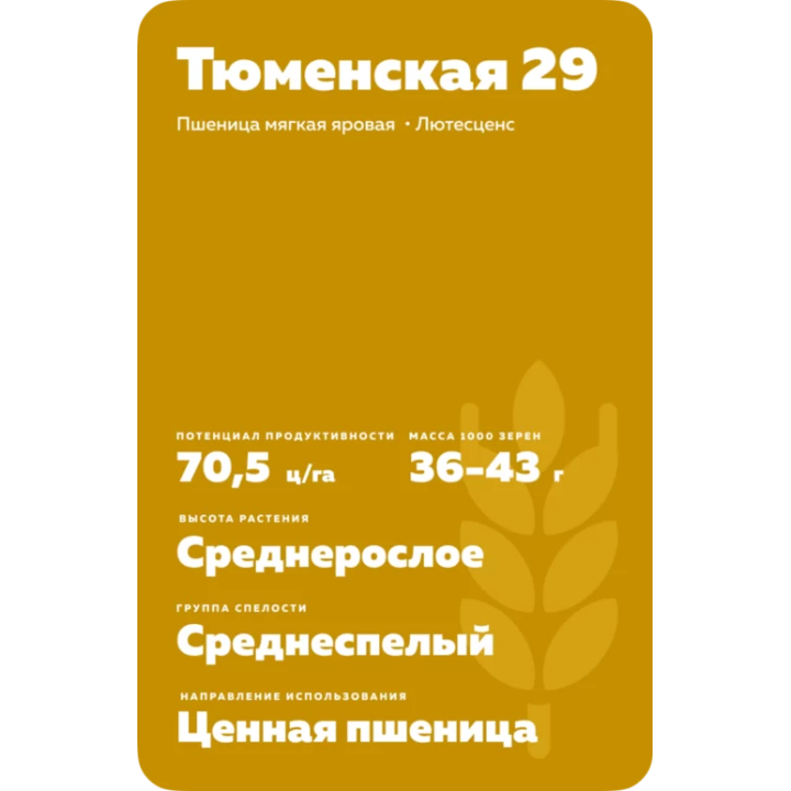 ТЮМЕНСКАЯ 29