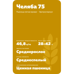 ЧЕЛЯБА СТЕПНАЯ