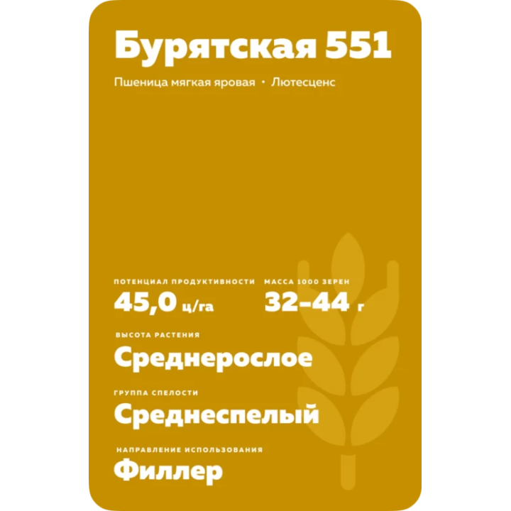 БУРЯТСКАЯ 551