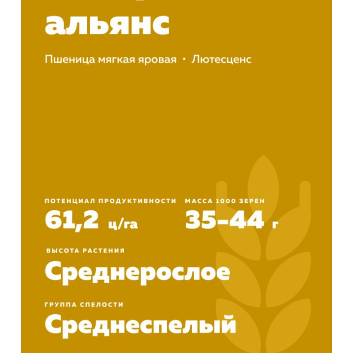 СИБИРСКИЙ АЛЬЯНС