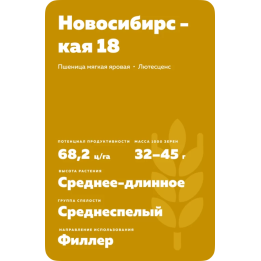 НОВОСИБИРСКАЯ 18