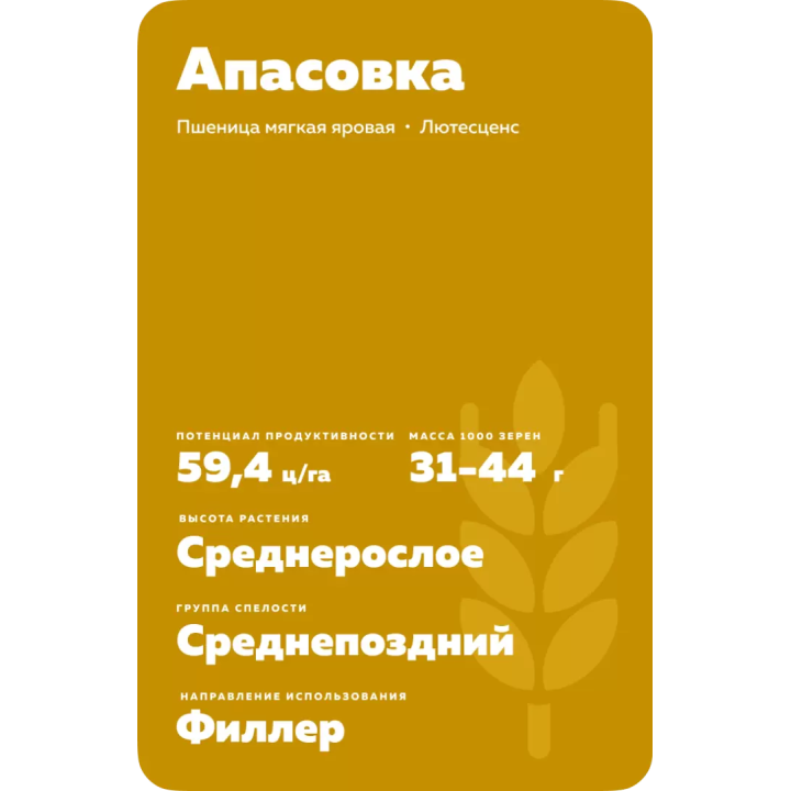 АПАСОВКА