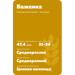 БАЖЕНКА