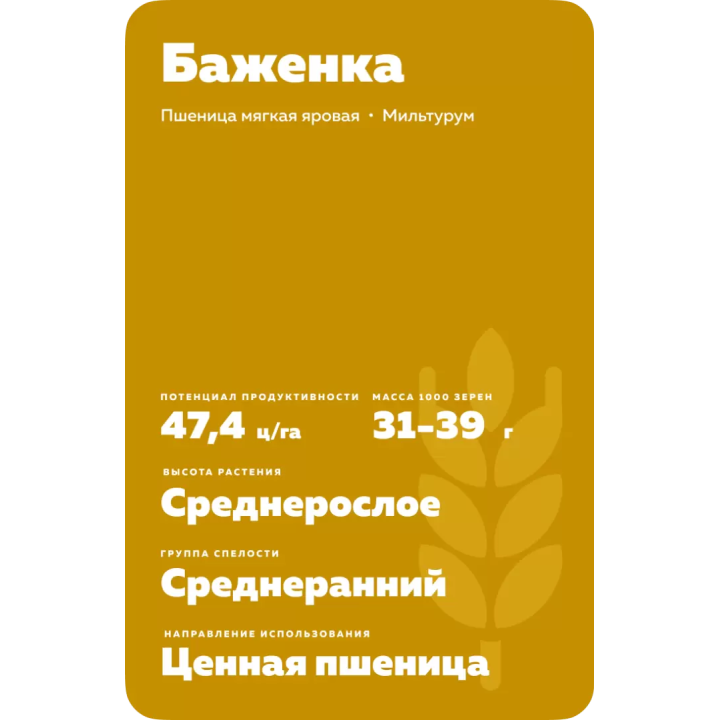 БАЖЕНКА