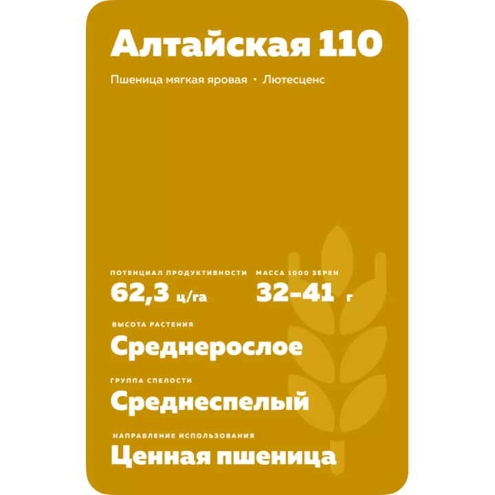 АЛТАЙСКАЯ 110