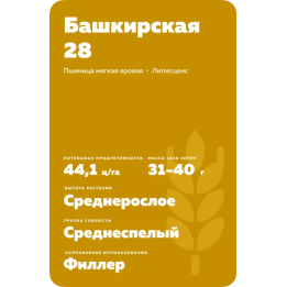 БАШКИРСКАЯ 28