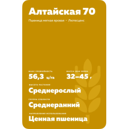 АЛТАЙСКАЯ 70