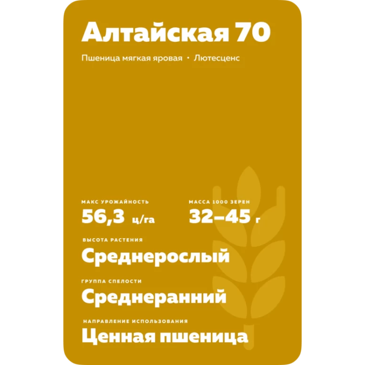 АЛТАЙСКАЯ 70