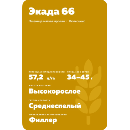 ЭКАДА 66