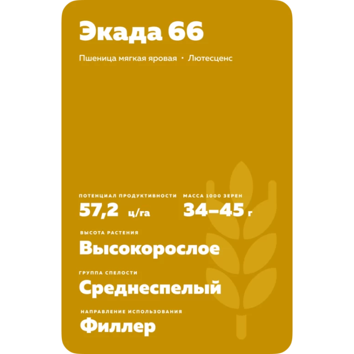 ЭКАДА 66