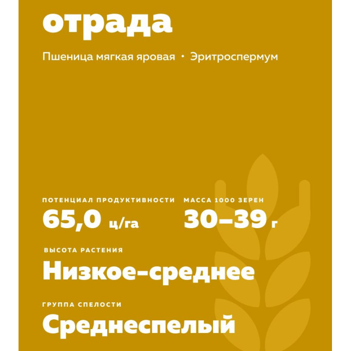 КИНЕЛЬСКАЯ ОТРАДА
