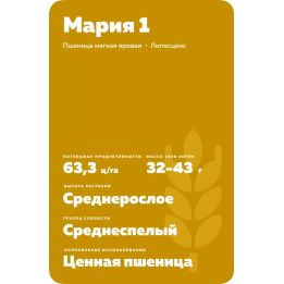 МАРИЯ 1