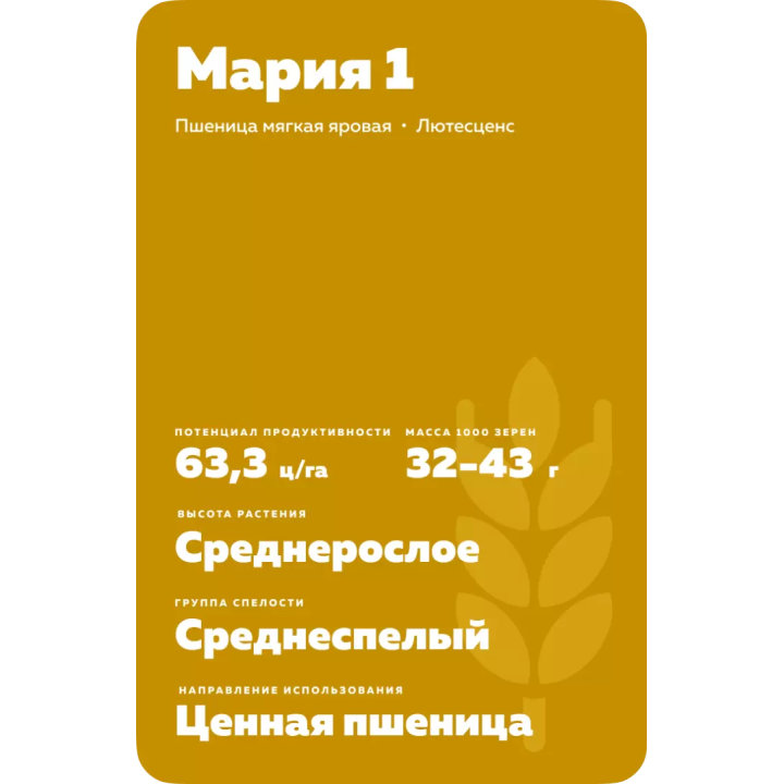 МАРИЯ 1
