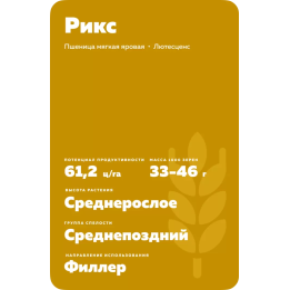 РИКС