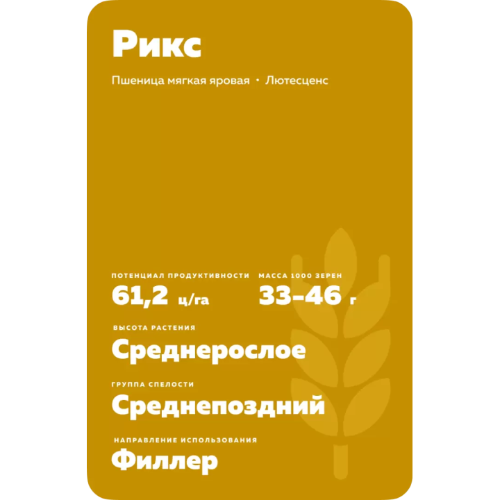 РИКС