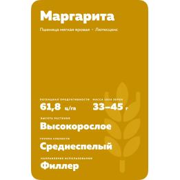 МАРГАРИТА