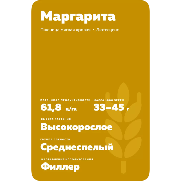 МАРГАРИТА