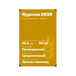 КУРСКАЯ 2038