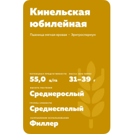 КИНЕЛЬСКАЯ 60