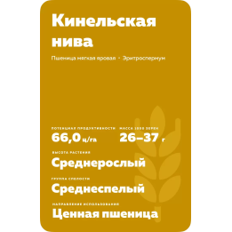 КИНЕЛЬСКАЯ НИВА