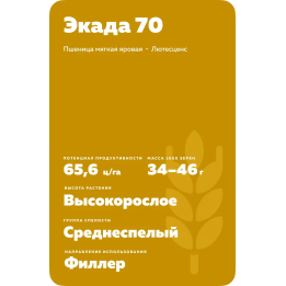 ЭКАДА 70