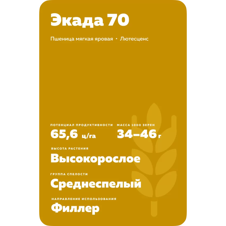 ЭКАДА 70