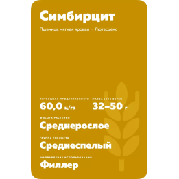 СИМБИРЦИТ