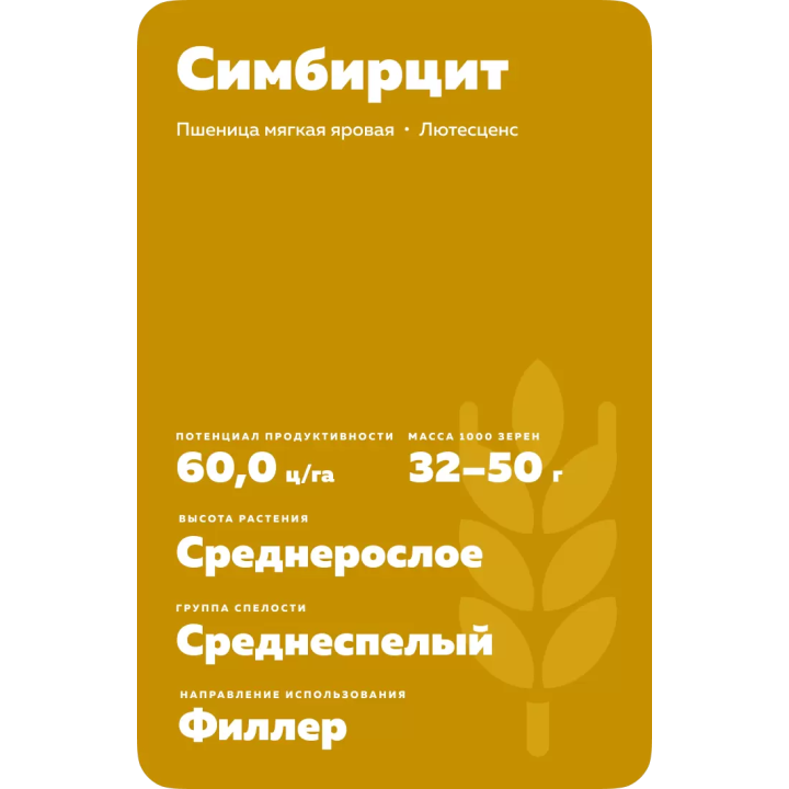СИМБИРЦИТ