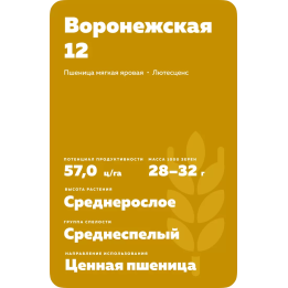 ВОРОНЕЖСКАЯ 12