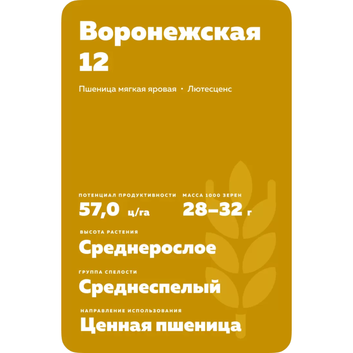 ВОРОНЕЖСКАЯ 12