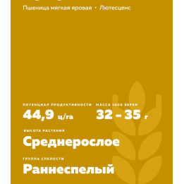 ТУЛУН 15