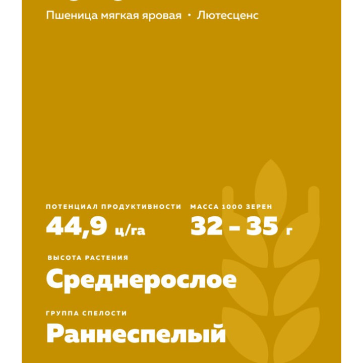 ТУЛУН 15