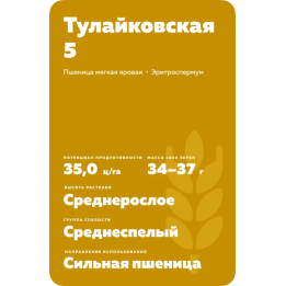 ТУЛАЙКОВСКАЯ 5